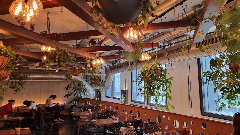 BEETNUT - BEETNUT Lagerstrasse 16b, 8004 Zürich, Switzerland