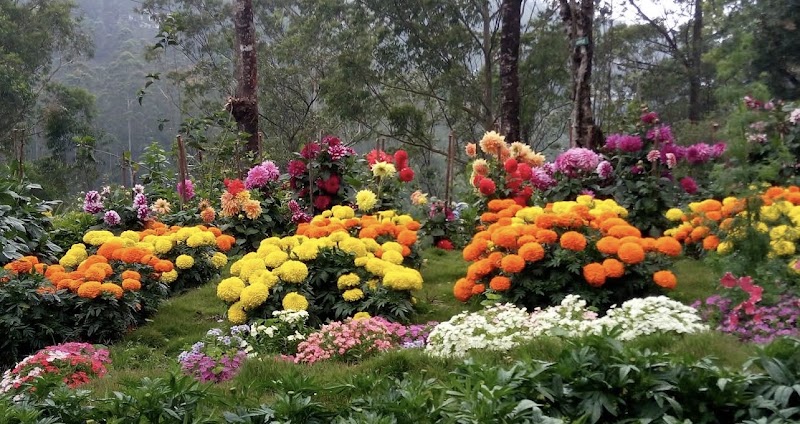 Munnar Hill Station (The Kashmir of South India) - Idukki District, Kerala, India - Munnar Hill Station (The Kashmir of South India) - Idukki District, Kerala, India 33Q5+HRC, Nullatanni, Munnar, Kerala 685612, India