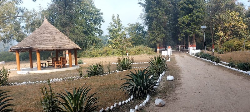 Corbett Tiger Zone & Safari 🐅 - Corbett Tiger Zone & Safari 🐅 front of hotel wild way, Ranikhet Rd, Ramnagar, Uttarakhand 244715, India