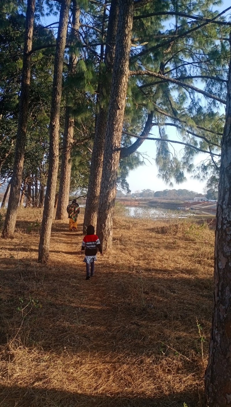 Netarhat Lake - Netarhat Lake F7JC+27M, Netarhat, Jharkhand 835218, India