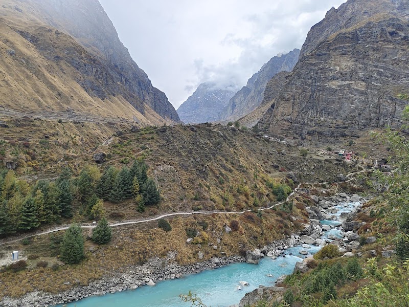 Nanda Devi National Park - Nanda Devi National Park, Garpak, Uttarakhand 246443, India