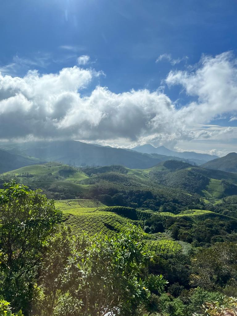 Eravikulam National Park - Eravikulam National Park Kannan Devan Hills, Kerala 685612, India