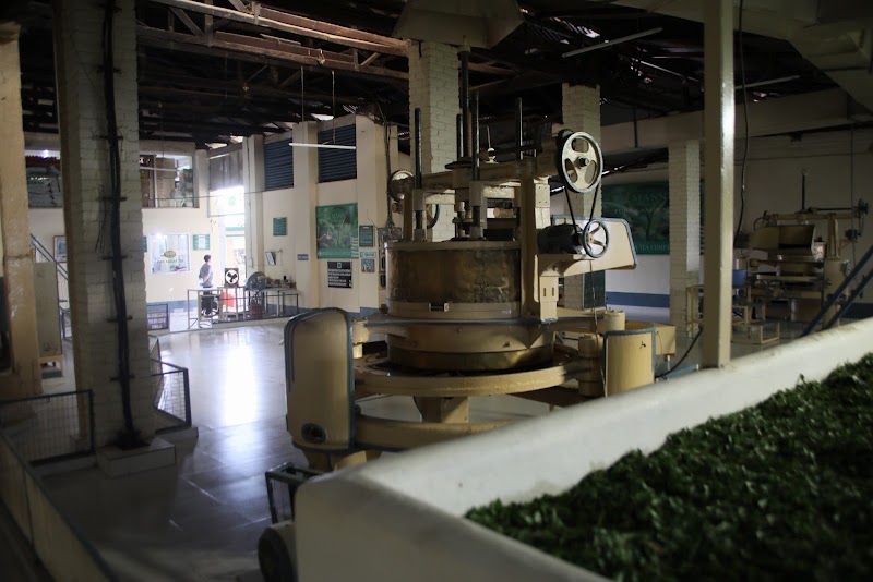 Maan Tea Factory - Maan Tea Factory, 6855+CMX, MDR44, Dharamshala, Himachal Pradesh 176217, India