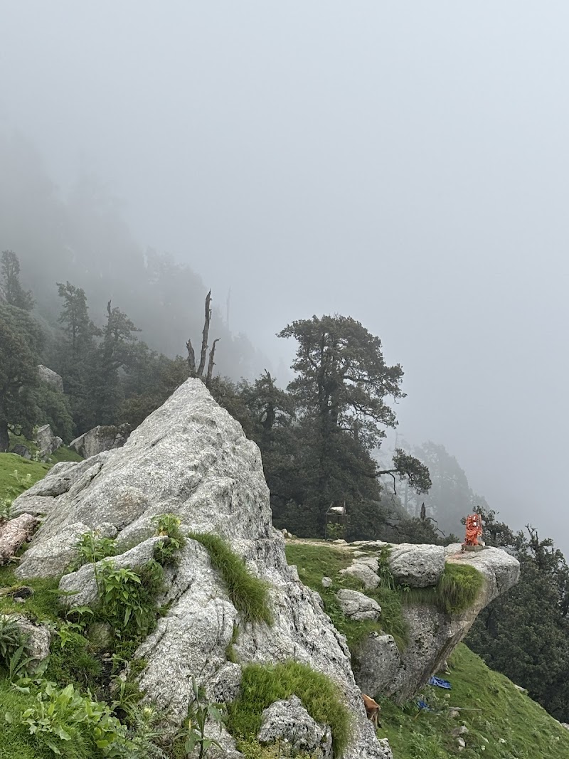 Triund Trek - Triund Trek Trail to Triund Hill, Dharamshala, Himachal Pradesh 176216, India
