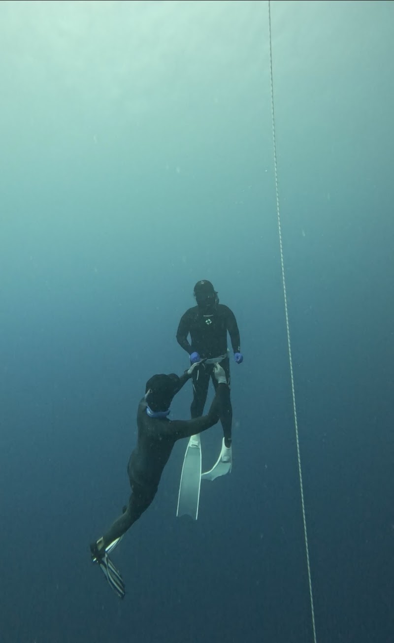 Freediving in Panglao, Bohol | Blue Freedom - Freediving in Panglao, Bohol | Blue Freedom, Relax Divers Resort Purok 5B, Tangnan, Panglao, 6339 Bohol, Philippines