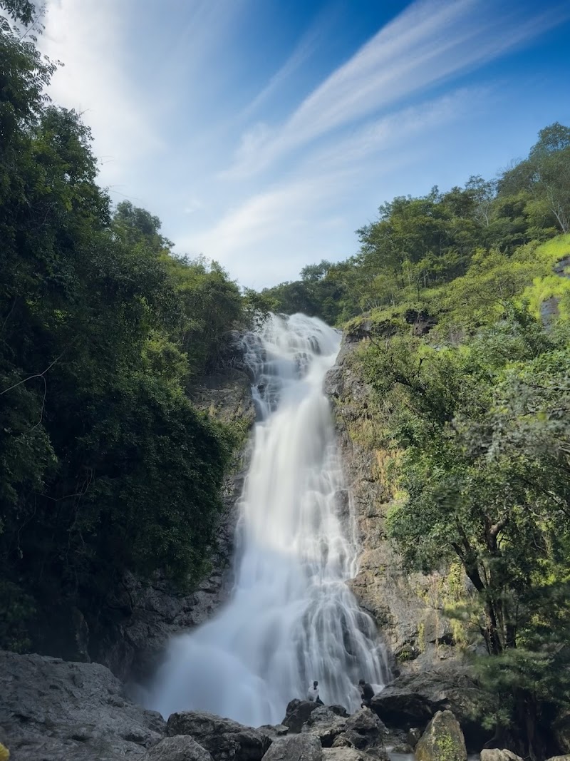 Khao Yai National Park - Khao Yai National Park, Nakhon Ratchasima, Thailand