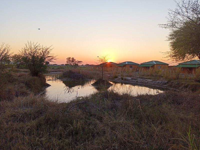 Bagh Serai - Bagh Serai, Forest Check Post, behind Kundera, Ranthambhore Fort, Kundera, Rajasthan 322029, India