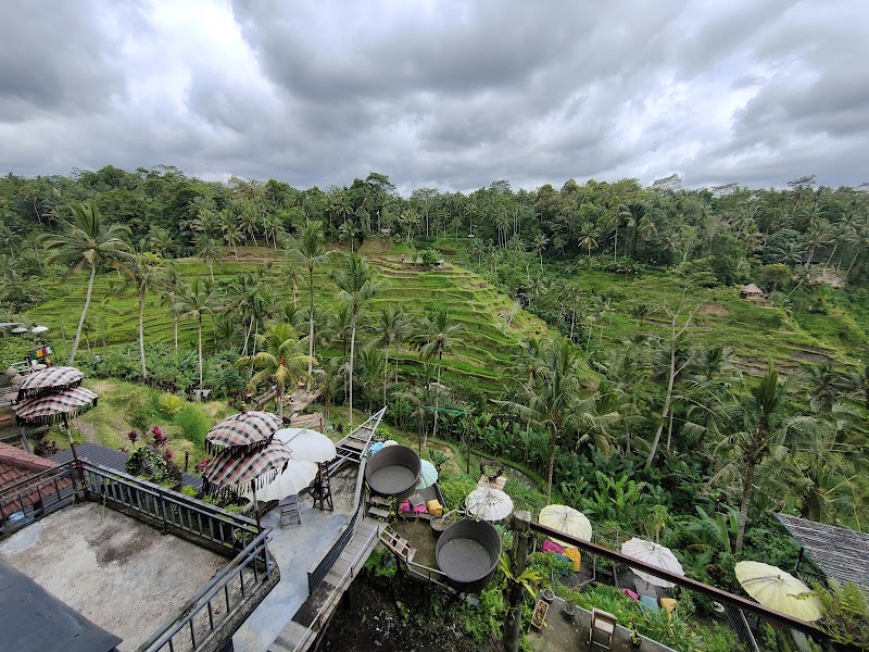 Rice terrace cafe - Rice terrace cafe Jl. Raya Tegallalang, Tegallalang, Kec. Tegallalang, Kabupaten Gianyar, Bali 80561, Indonesia
