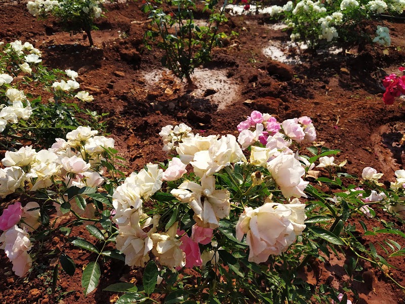 Governor Hills - Governor Hills HQM2+872, Sunrise Point Road, Saputara, Gujarat 394720, India