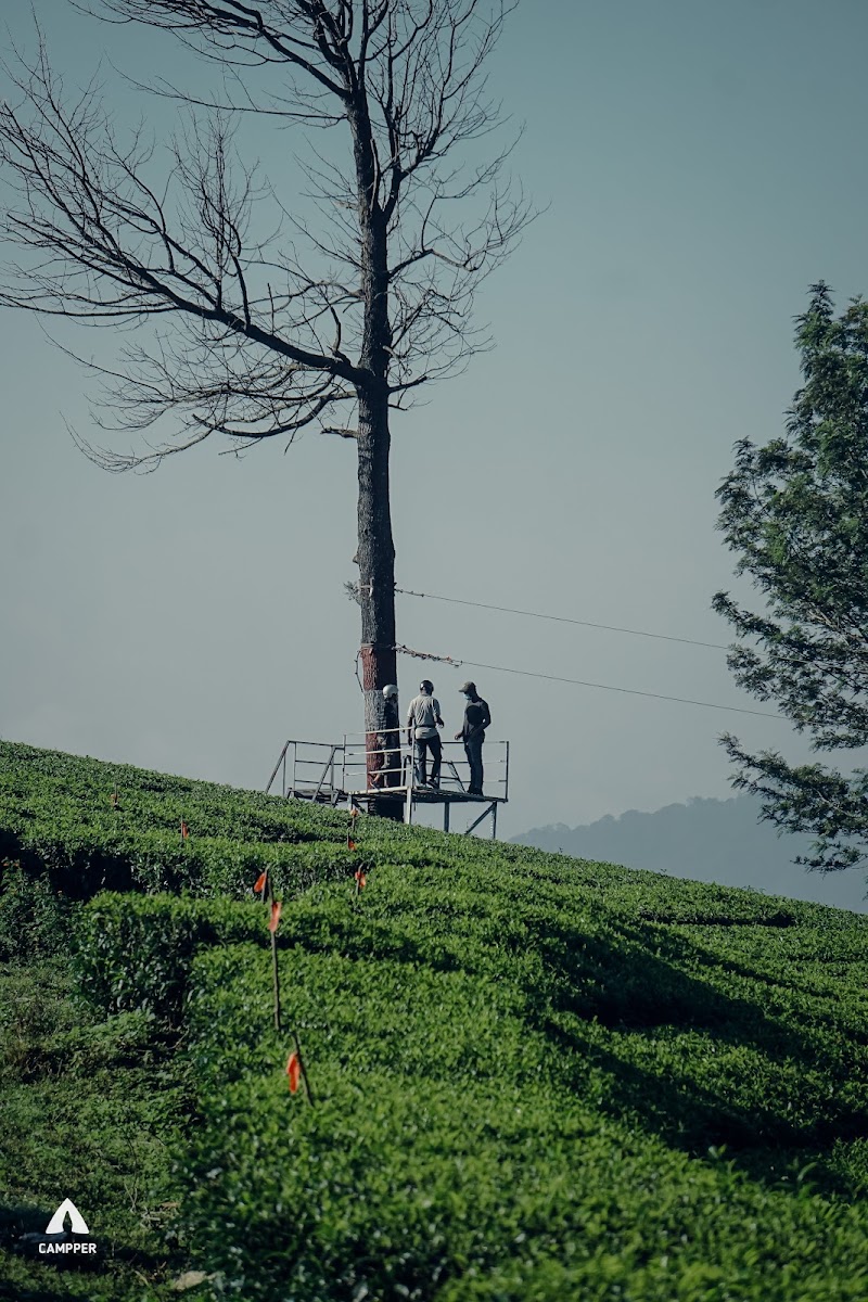 Campper Camp Woody Munnar - Campper Camp Woody Munnar, Camp Woody, Gundumalai Rd, Suryanelli, Kerala 685613, India