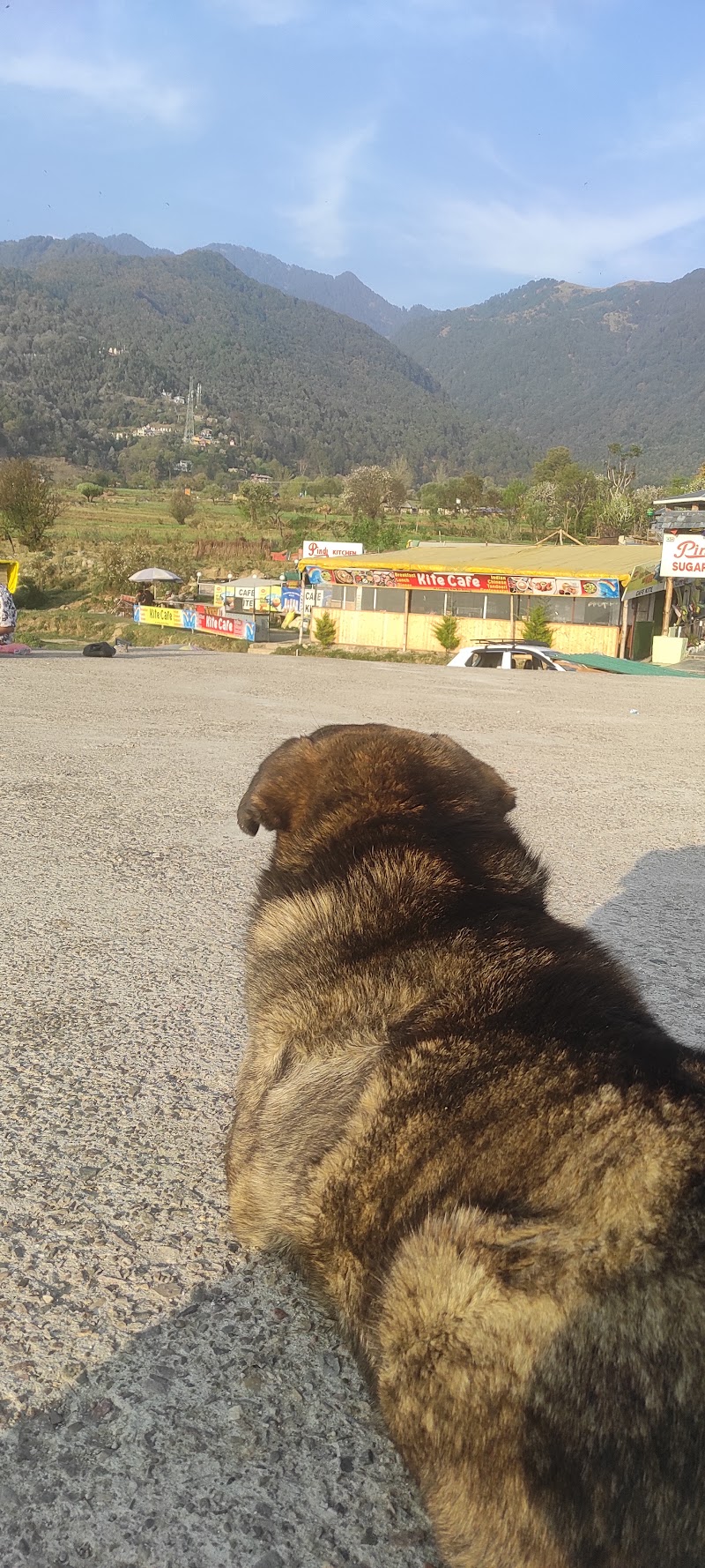 Landing zone field - Landing zone field, 2PV5+2GX, Landing Road, Bir, Suja, Himachal Pradesh 176077, India