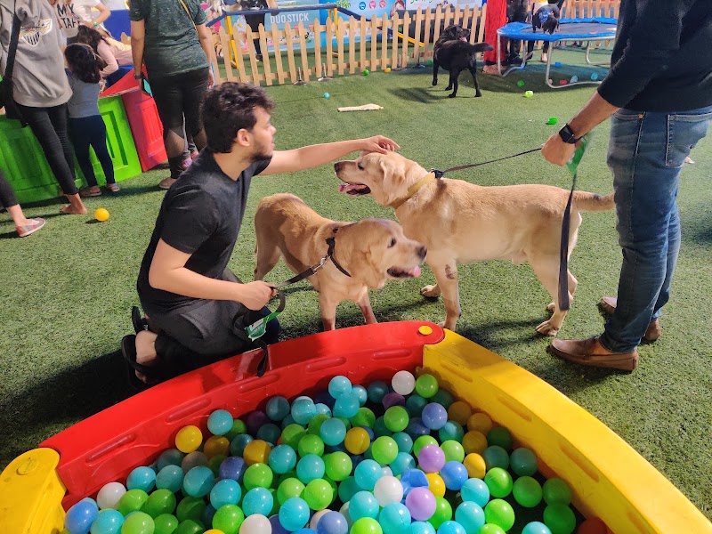 JVPD Ground - Arvog Leisure - JVPD Ground - Arvog Leisure, 30, Devle Rd, near JVPD, Sainath Nagar, Kapaswadi, Juhu, Mumbai, Maharashtra 400049, India