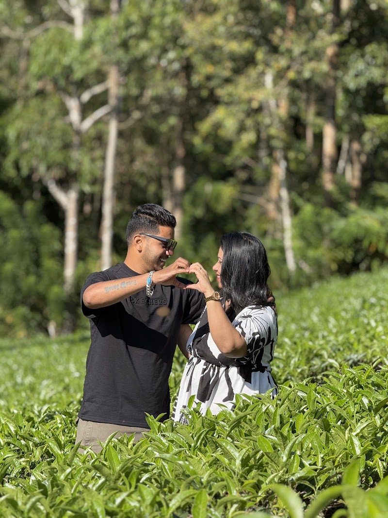 Kerala trip planner - Kerala trip planner, Gumathore Odatha Rd, Gumathore Odatha, Anavathil, Jubilee Nagar, Veli, Kochi, Kerala 682001, India