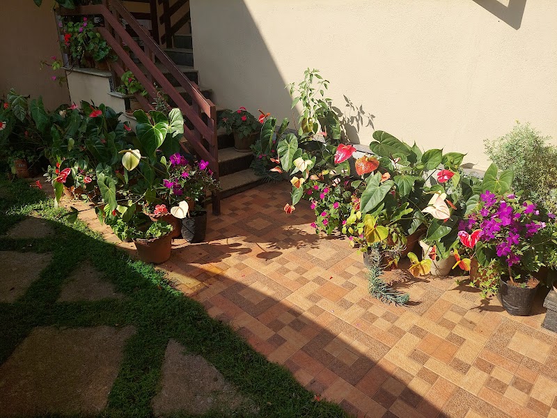 CAUVERY HOME STAY - CAUVERY HOME STAY Unnamed Road, Kalakandur, Karnataka 571236, India