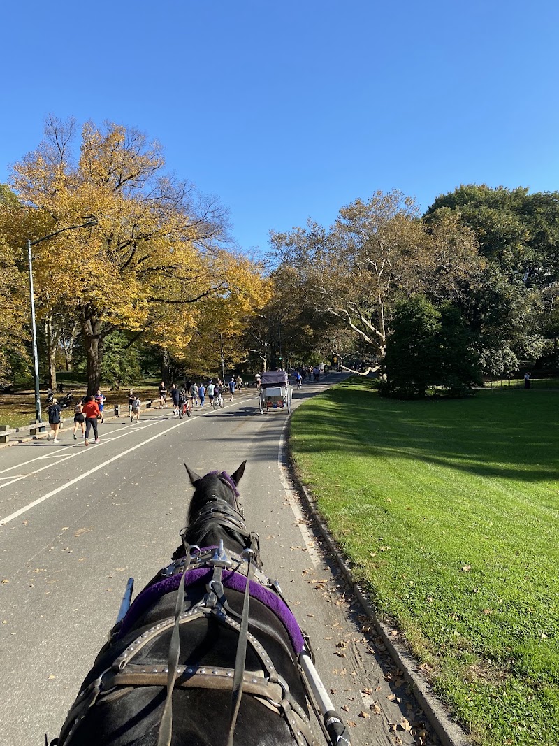 NYC Central Park Horse Carriage Rides since 1858 - NYC Central Park Horse Carriage Rides since 1858 7th Ave & 59th Street, 180 Central Park S Drive, New York, NY 10019, USA