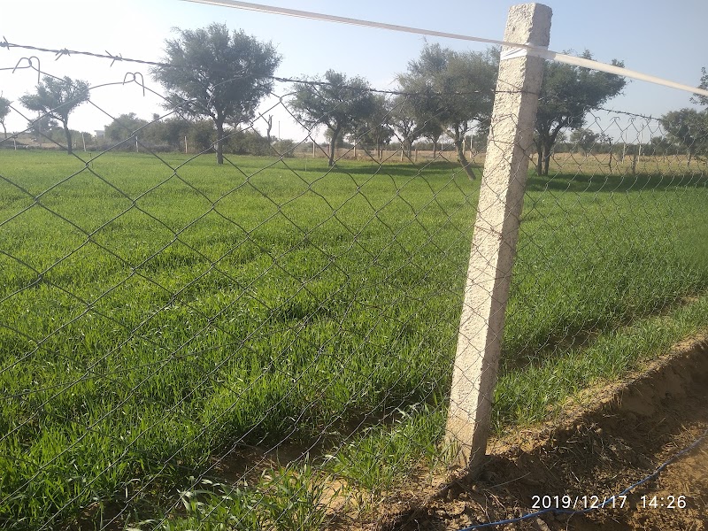 Balera - Balera, Rajasthan 331503, India