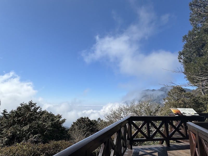 Ciyun Temple Scenery - Ciyun Temple Scenery 605, Taiwan, Yunlin County, Alishan Township, 台1丁線9"N號23°31'05. 120°48'23.