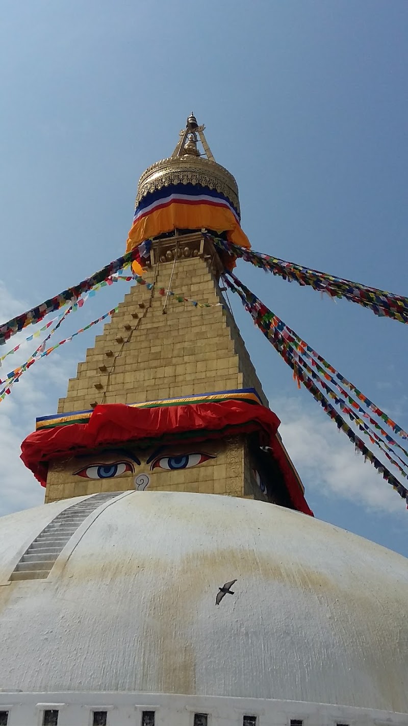 Neat Holidays- Sikkim Darjeeling Tour Packages - Neat Holidays- Sikkim Darjeeling Tour Packages 31/A National highway, Near Masjit, Indira Bypass Road, Arithang, Arithang, Gangtok, Sikkim 737102, India