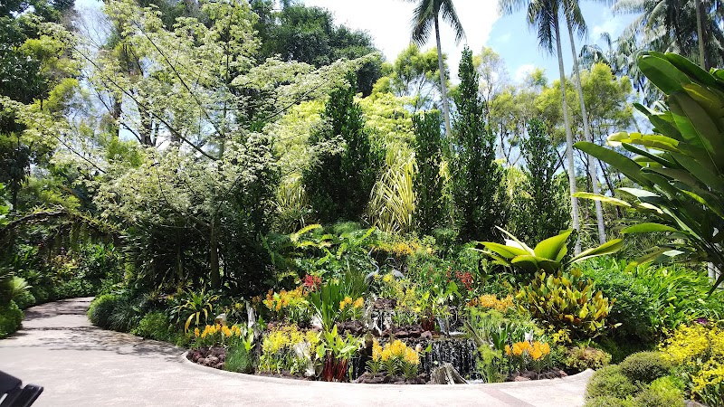 Singapore Botanic Gardens - Singapore Botanic Gardens 1 Cluny Rd, Singapore 259569