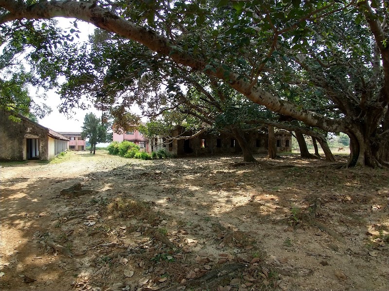 Uttkantha Guest House - Uttkantha Guest House, Unnamed Road, Netarhat, Birjiatoli, Jharkhand 835218, India