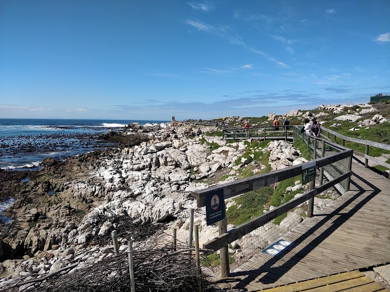 Stony Point Nature Reserve - Stony Point Nature Reserve, 2411 Wallers Rd, Betty's Bay, 7141, South Africa
