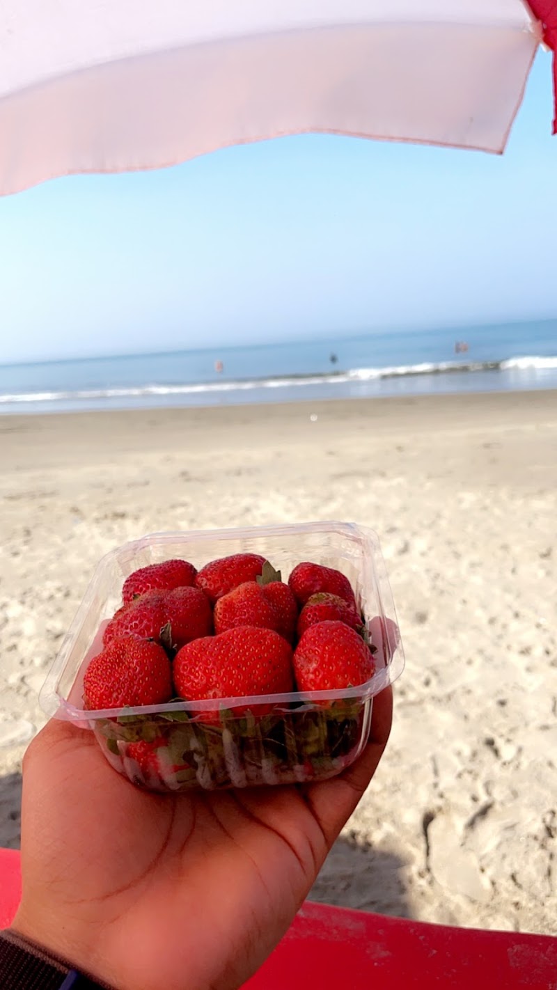 Pacha De Arambol - Pacha De Arambol, Arambol Beach, Arambol, Goa 403524, India