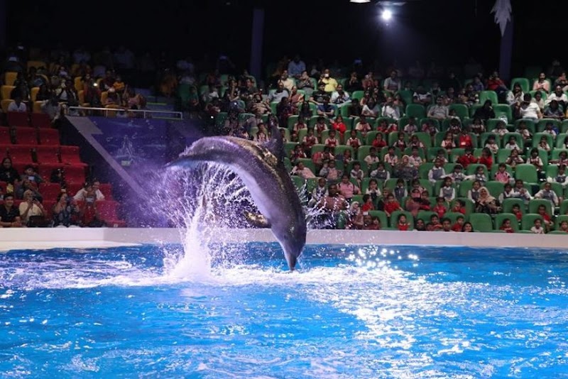 Dubai Dolphinarium - Dubai Dolphinarium Riyadh Street, Inside the Creek Park Gate 1 - Dubai Dolphinarium Building - Dubai Dolphinarium Building - Street - أم هرير الثانية - دبي - United Arab Emirates