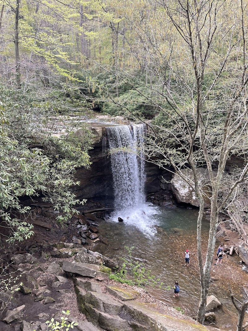 Ohiopyle State Park - Ohiopyle State Park, 124 Main St, Ohiopyle, PA 15470, USA