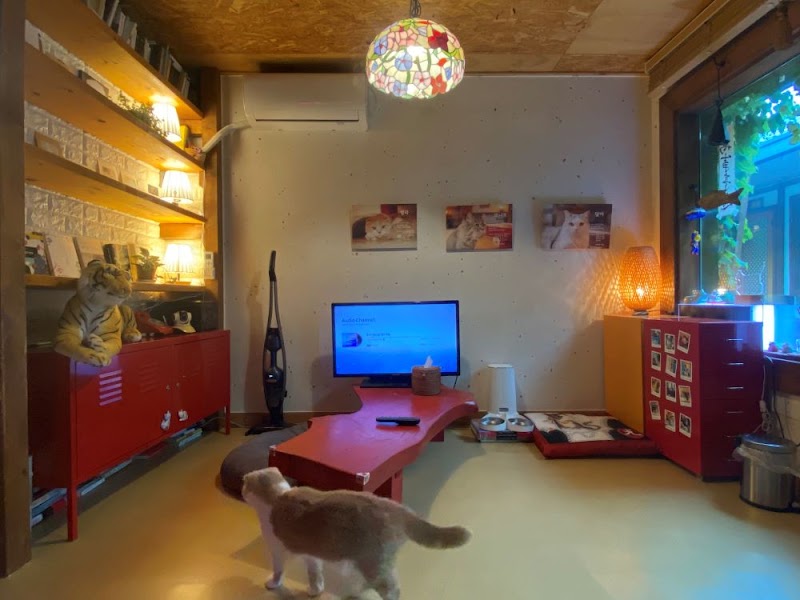 SINDAL Guesthouse - SINDAL Guesthouse 6-10 Taejong-ro 700beon-gil, Gyeongju, Gyeongsangbuk-do, South Korea