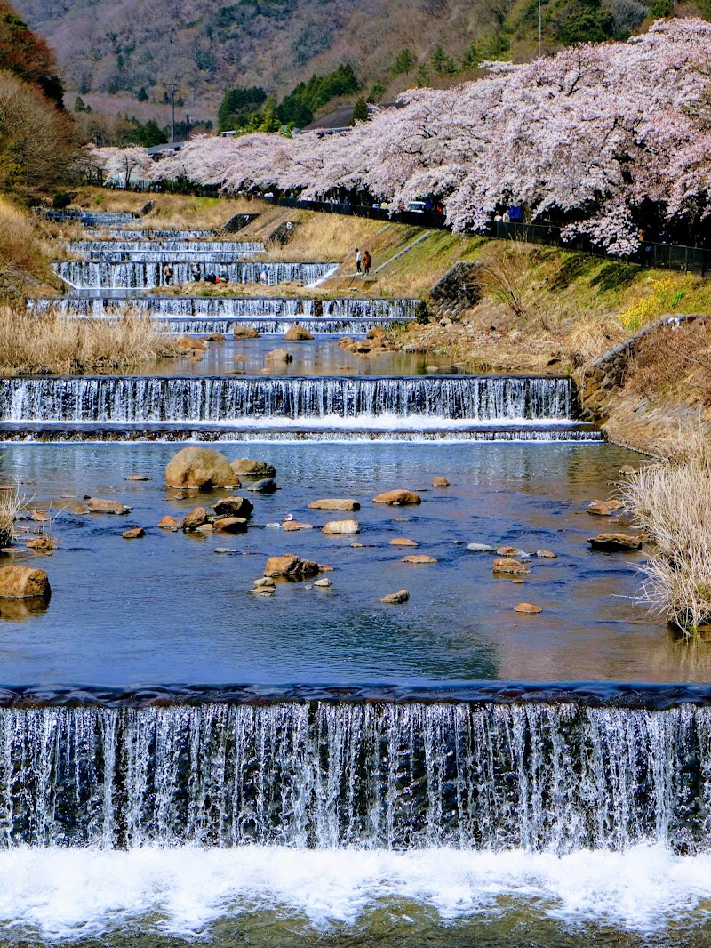 Miyagino - Miyagino, Hakone, Ashigarashimo District, Kanagawa 250-0401, Japan