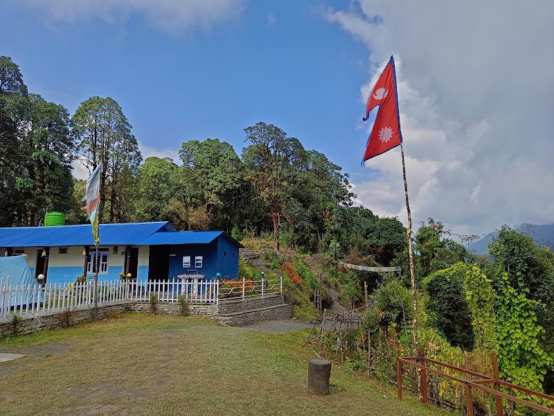 pittam deurali