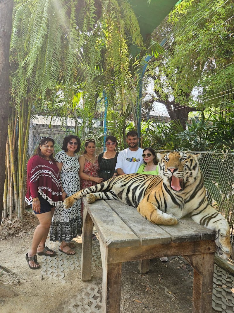 Explorer Club - Explorer Club, 548, Explorer Club, near Hotel Bell Oak, Muktanagar, Durg, Bhilai, Chhattisgarh 491001, India