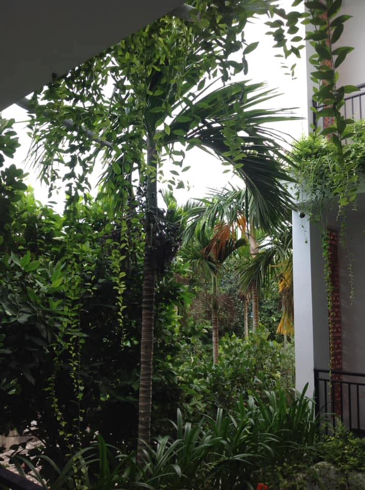 Hoi An Ti Hon House - Hoi An Ti Hon House, 139 26Hùng Vương, Hội An Tây, Đà Nẵng 560000, Vietnam