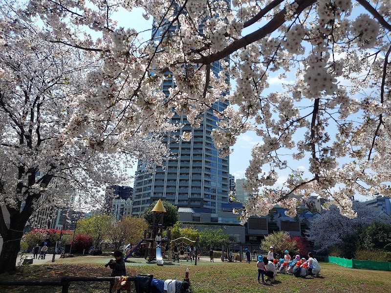 Shinjuku City Tomihisa Sakura Park - Shinjuku City Tomihisa Sakura Park 21-17 Tomihisachō, Shinjuku City, Tokyo 162-0067, Japan