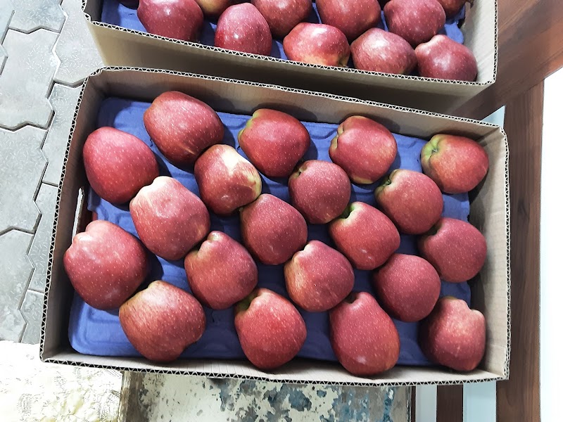 Kashmir Fruit Traders - Kashmir Fruit Traders Q46Q+W2P, Philomina Nagar, Thanjavur, Tamil Nadu 613006, India