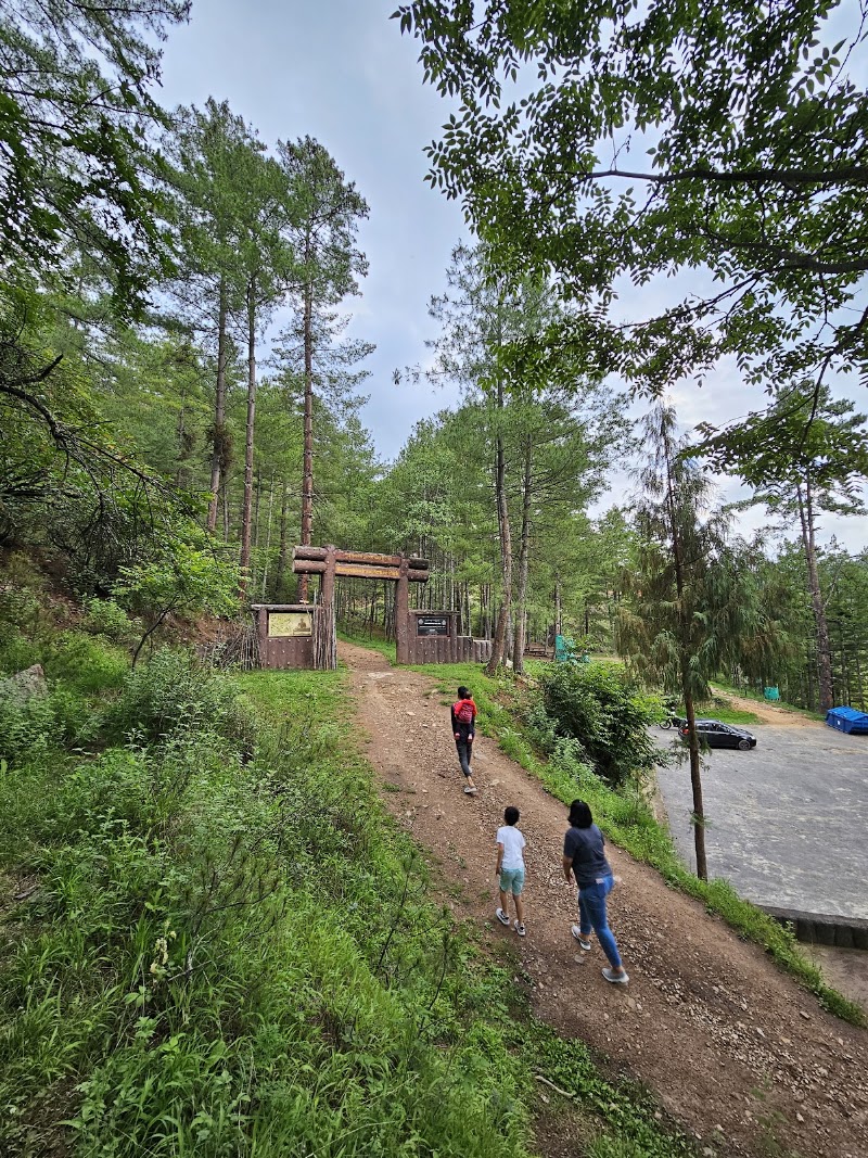 Kuenselphodrang Recreation Park - Kuenselphodrang Recreation Park, CJWR+RVJ, Thimphu, Bhutan