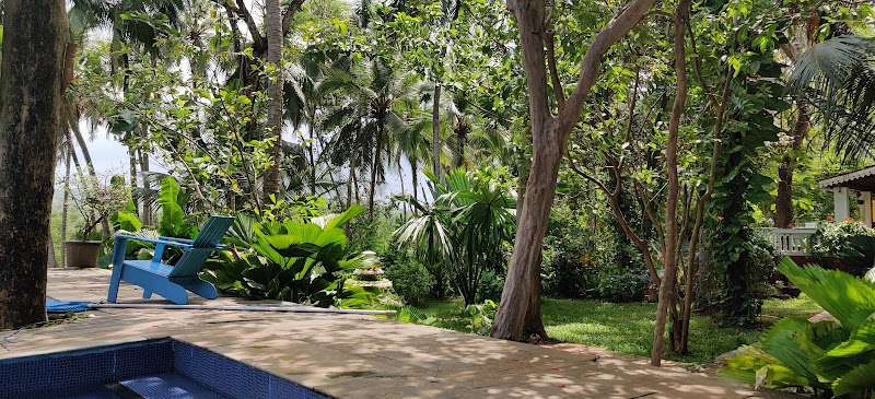 Paulo Cho Vado - Paulo Cho Vado, House.No, 41/12, opp. Datta Mandir, Chikhli Village, Colvale, Chikhli, Goa 403507, India