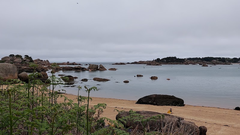 Île Renote - Île Renote, Trégastel, France