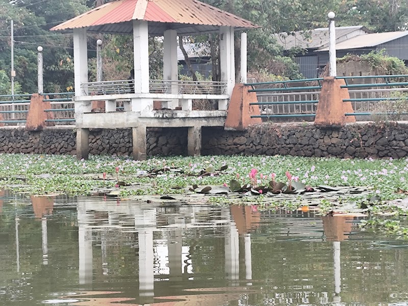 Brackish Lagoons Alleppey - Brackish Lagoons Alleppey G9G4+3QP, Punnamada, Kottankulangara, Alappuzha, Aryad South, Keralam 688006, India