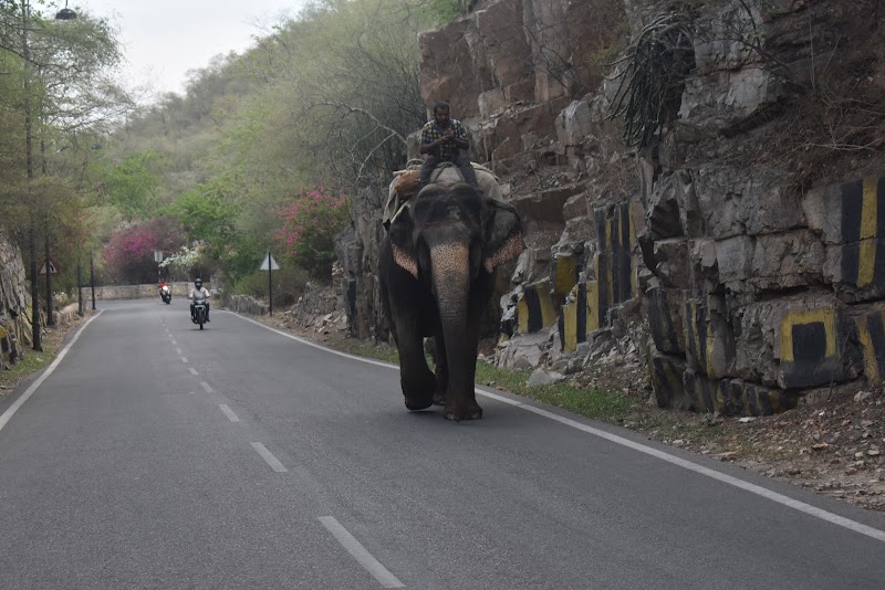 Amer Road - Amer Road, Amer Rd, Jal Mahal, Amer, Jaipur, Rajasthan, India