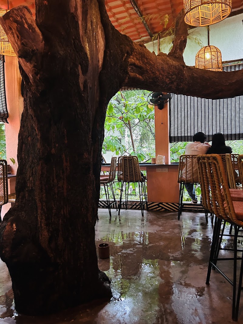 Steps Café - Steps Café Steps Café, Tertulian Rd, off Doctor Peter Dias Road, Mount Mary, Bandra West, Mumbai, Maharashtra 400050, India