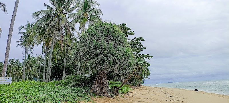 Coconut Palm Beach, Koh Lanta krabi - Coconut Palm Beach, Koh Lanta krabi, H2HJ+PJH, Sala Dan, Ko Lanta District, Krabi 81150, Thailand
