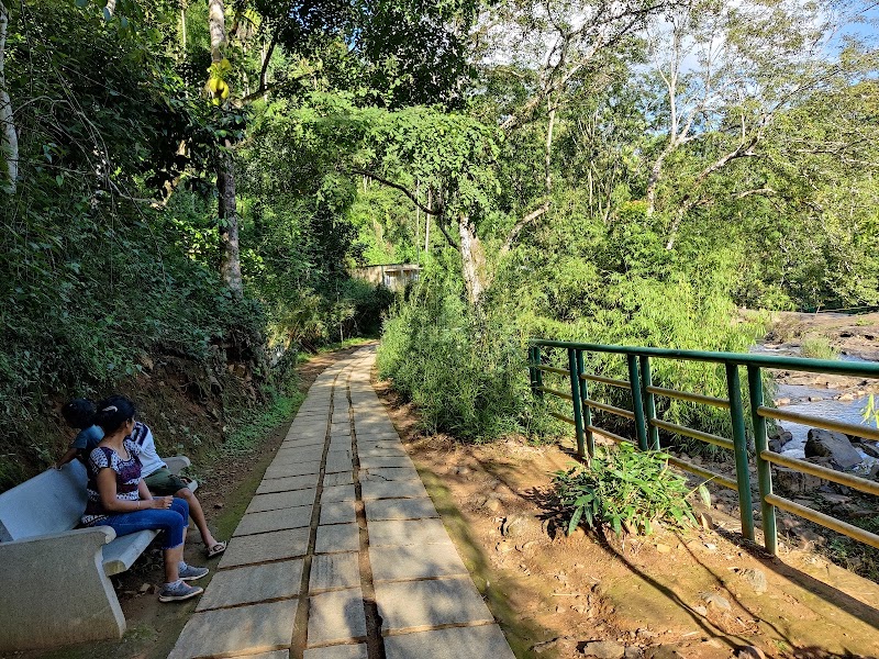 Kanthanpara Waterfalls - Kanthanpara Waterfalls G5F3+H3G, Meppadi, Kerala 673577, India