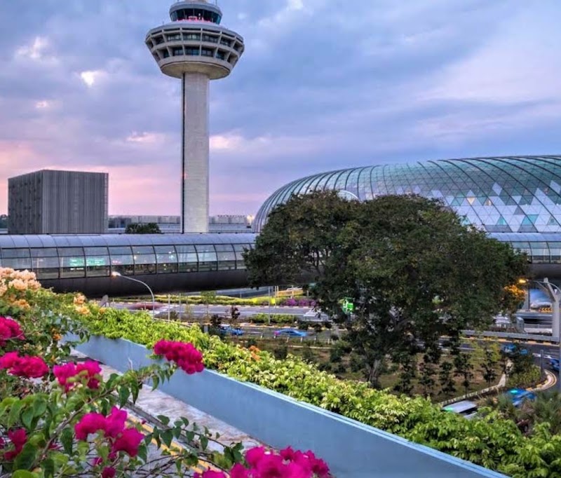 Singapore Changi Airport - Singapore Changi Airport 60 Airport Blvd., Singapore 819643