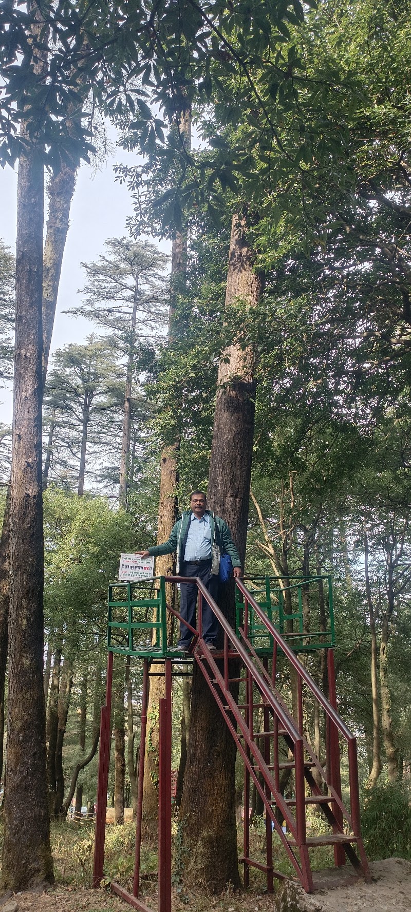 Dhanolti Eco Park Amber - Dhanolti Eco Park Amber C6FX+86C, Chamba - Mussoorie Rd, Dhanolti, Kempty Range, Uttarakhand 249180, India