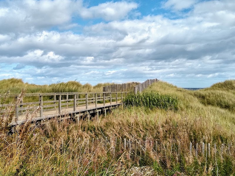West Sands Beach - West Sands Beach, United Kingdom