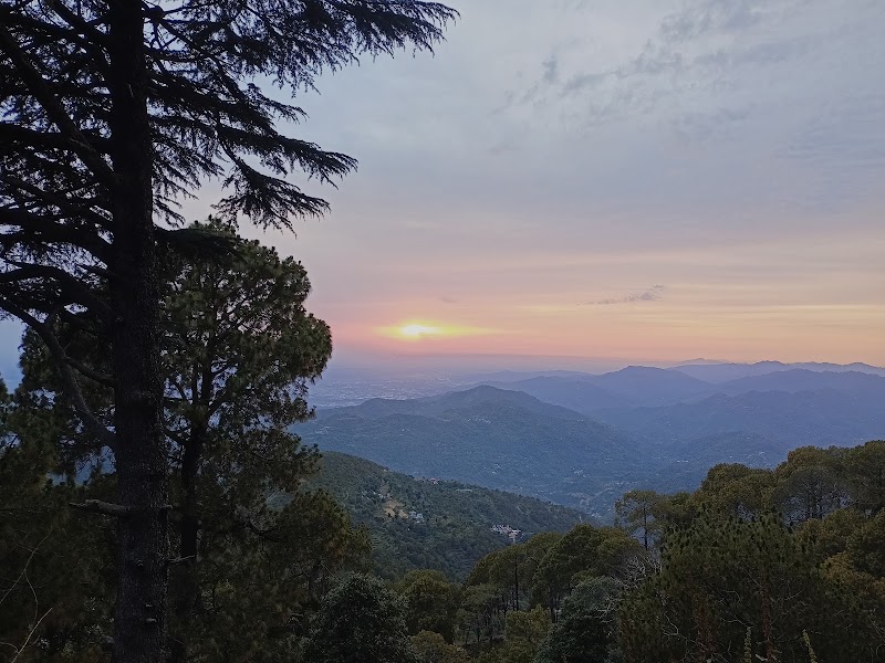 The Dew Drops, Kasauli - The Dew Drops, Kasauli, MDR6, Kasauli, Himachal Pradesh 173204, India