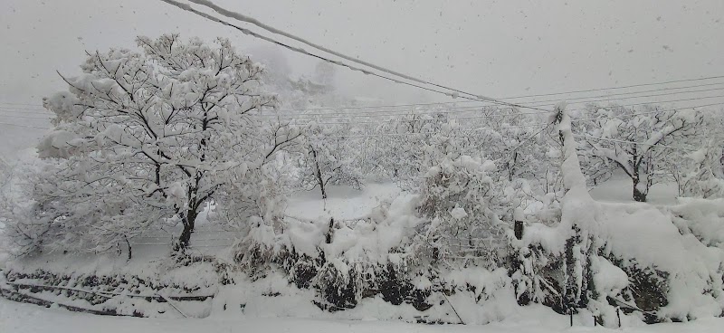 Thanadhar - Thanadhar, Himachal Pradesh 172030, India
