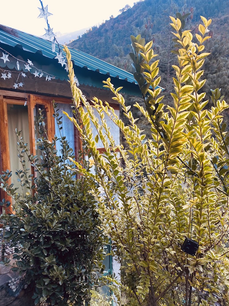 The Whispering Woods Tirthan - The Whispering Woods Tirthan The Whispering Woods Tirthan, Ropajani, Gushaini, Tindar, Himachal Pradesh 175123, India