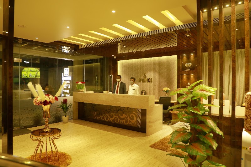 Springs Hotel - Springs Hotel Tiruchanoor Road Near shilparamam Tiruchanur flyover bridge, JC6V+R63 circle, Tiruchanur, Andhra Pradesh 517503, India
